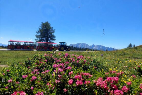 Bummelzugfahrt auf der Tauplitz
