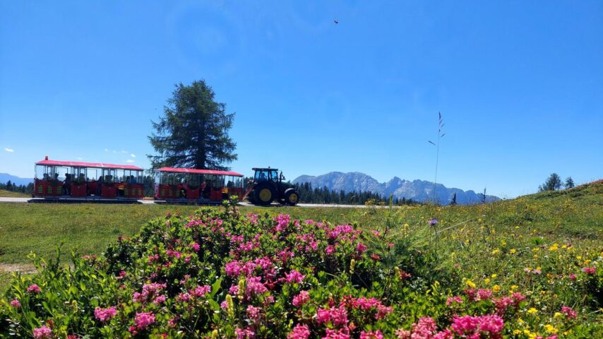 Bummelzugfahrt auf der Tauplitz