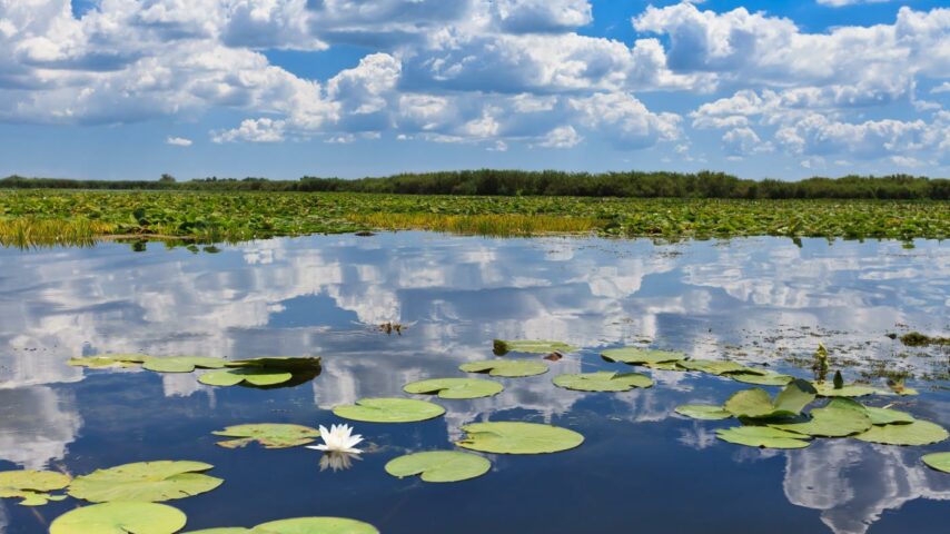Donaudelta Donaudelta