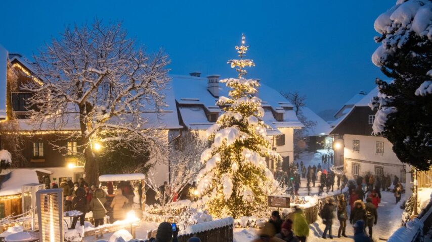Advent auf der Pürgg | Christbaum