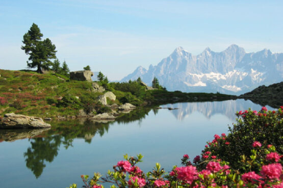 Fest zur Almrauschblüte Reiteralm Fest zur Almrauschblüte Reiteralm