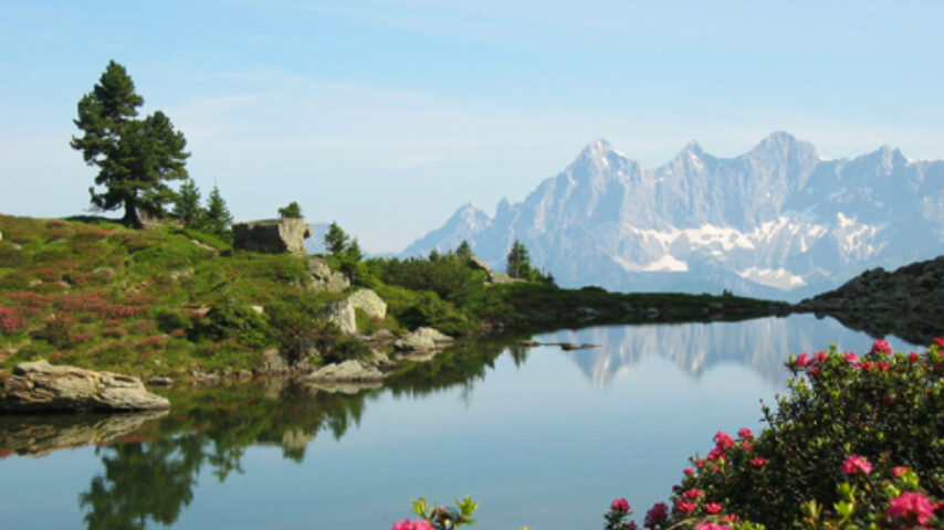 Fest zur Almrauschblüte Reiteralm Fest zur Almrauschblüte Reiteralm