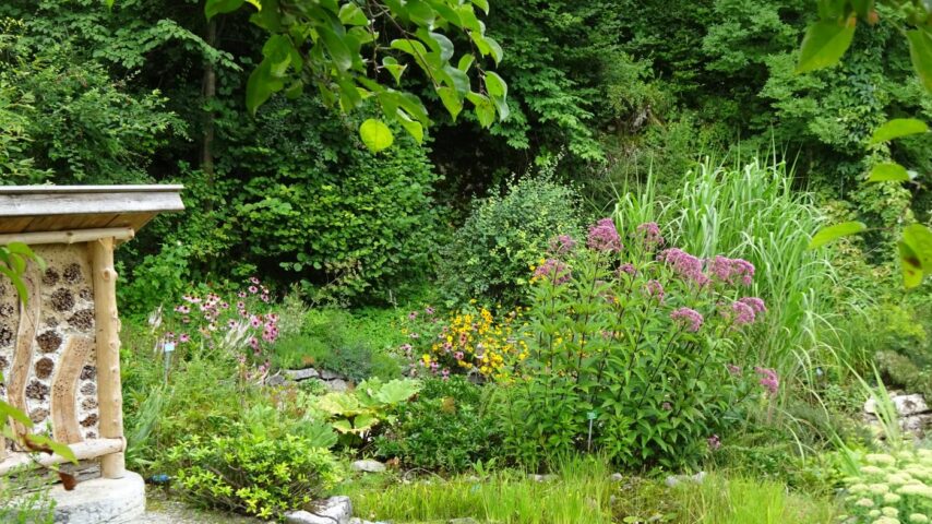 Alpengarten Bad Aussee