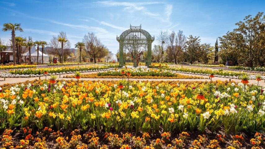 Blumengärten Hirschstetten | Tulpen Blumengärten Hirschstetten | Tulpen