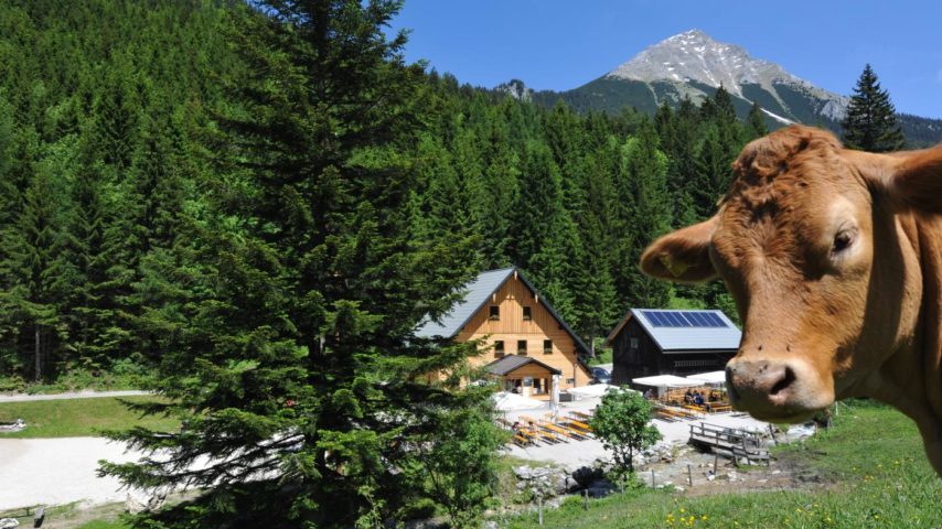Bosruckhütte Bosruckhütte