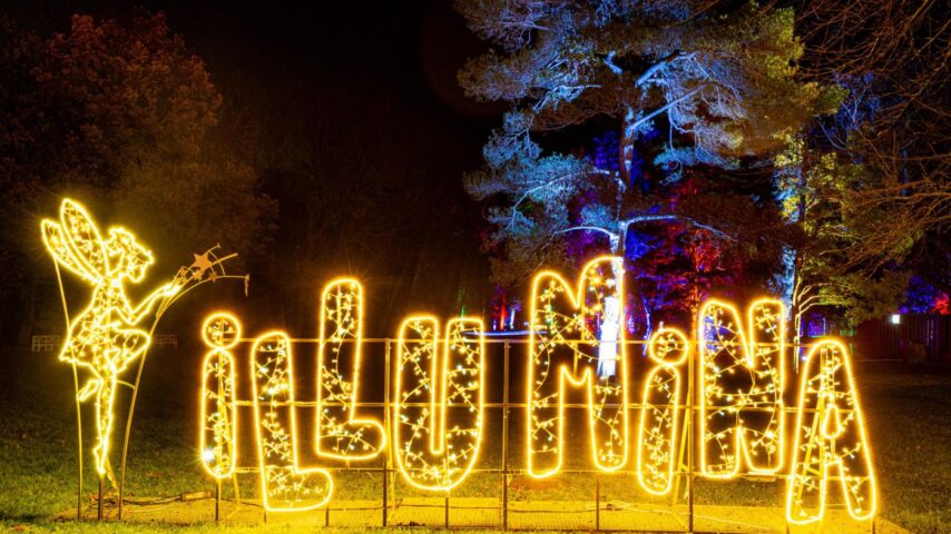 Illumina Lichtergarten | Buchstaben