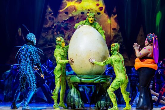 Cirque du soleil - Corteo