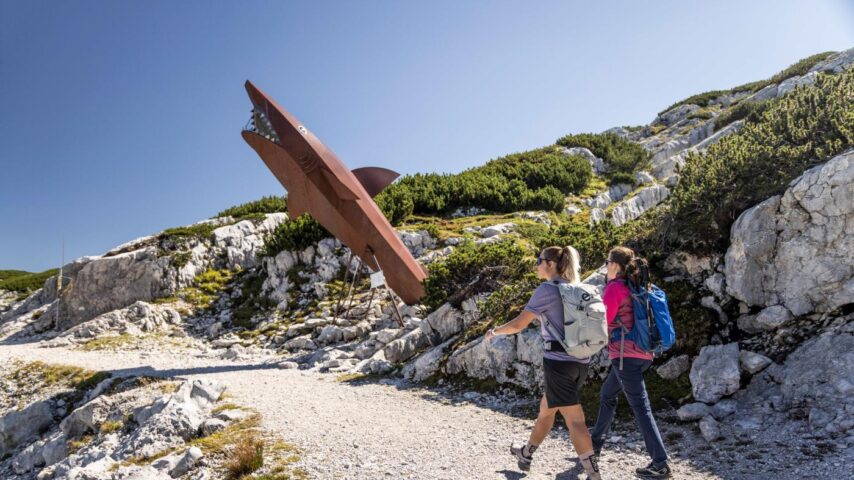 Dachstein / Krippenstein | Dachstein Hai