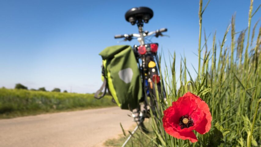 Fahrrad auf Alpe Adria Radweg