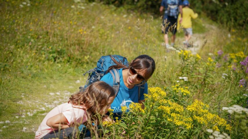Familienberg Rax | Wiesenblumen