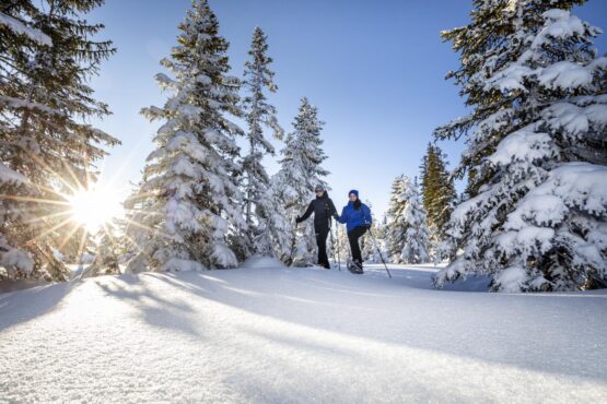 Schneeschuhwandern Filzmoos-Oberhofalm Schneeschuhwandern Filzmoos-Oberhofalm