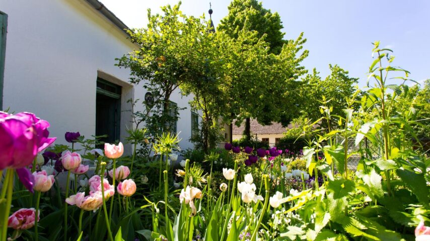 Frühling im Museumdorf Niedersulz
