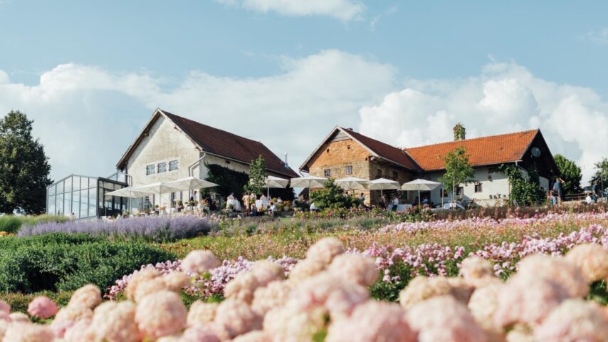 Garten der Geheimnisse mit Pfingstrosenblüte