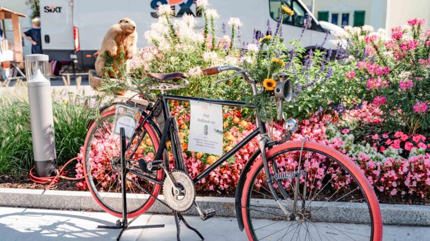 Goiserer Gamsjagatage | Damen bei der Radlpirsch