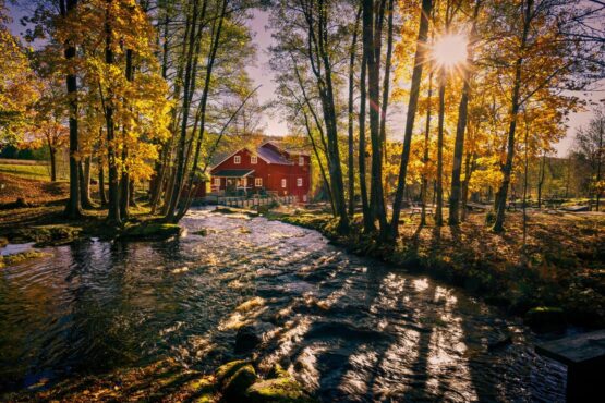 Haus im herbstlichen Wald in Schweden