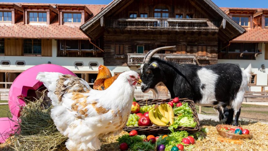Ostermarkt Gut Aiderbichl | Hase Ostermarkt Gut Aiderbichl | Hase