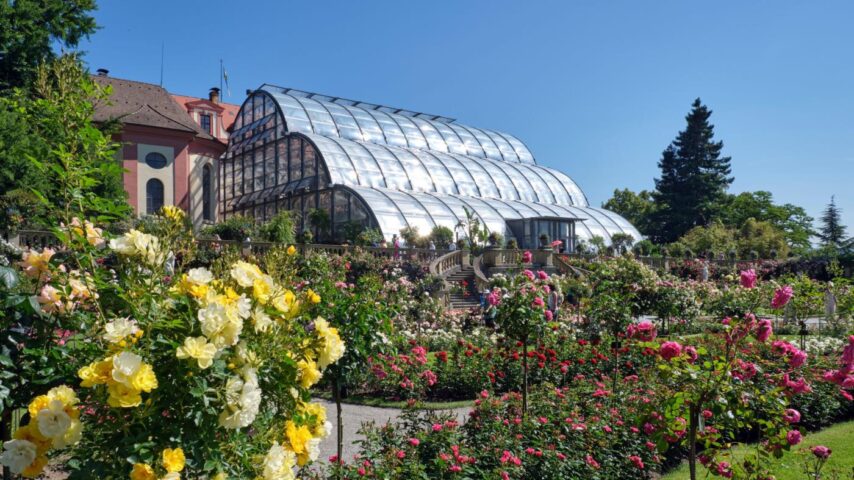 Glashaus auf der Insel Mainau