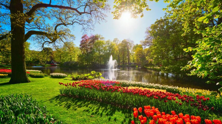 Keukenhof