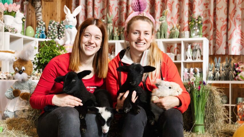 Ostermarkt Gut Aiderbichl | Hase Ostermarkt Gut Aiderbichl | Hase