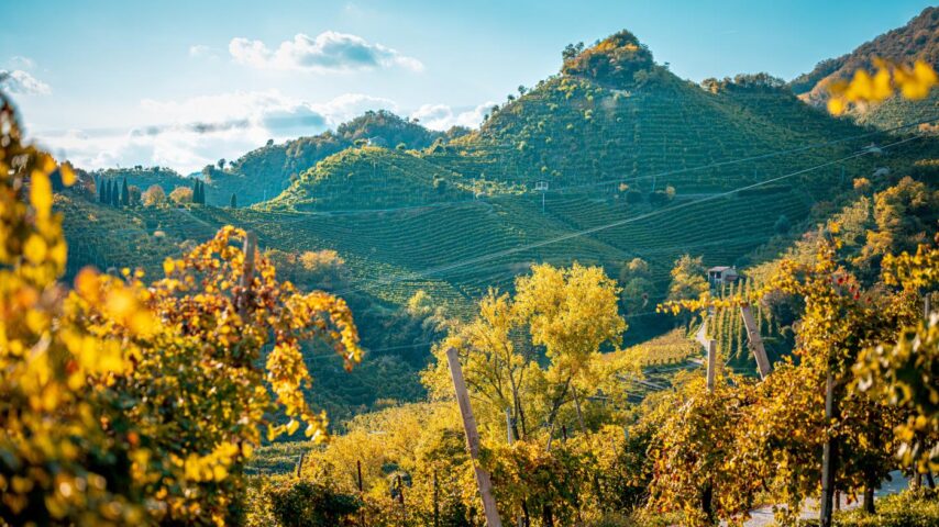 Herbstliche Landschaft in Conegliano