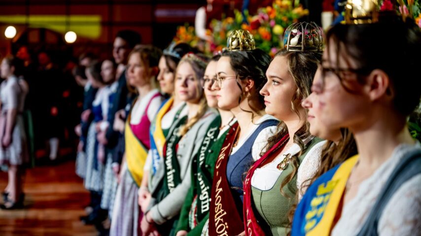 NÖ Bauernbundball | Königinnen