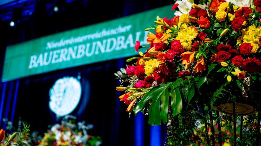 NÖ Bauernbundball