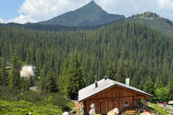 Planneralm | Bergwelt