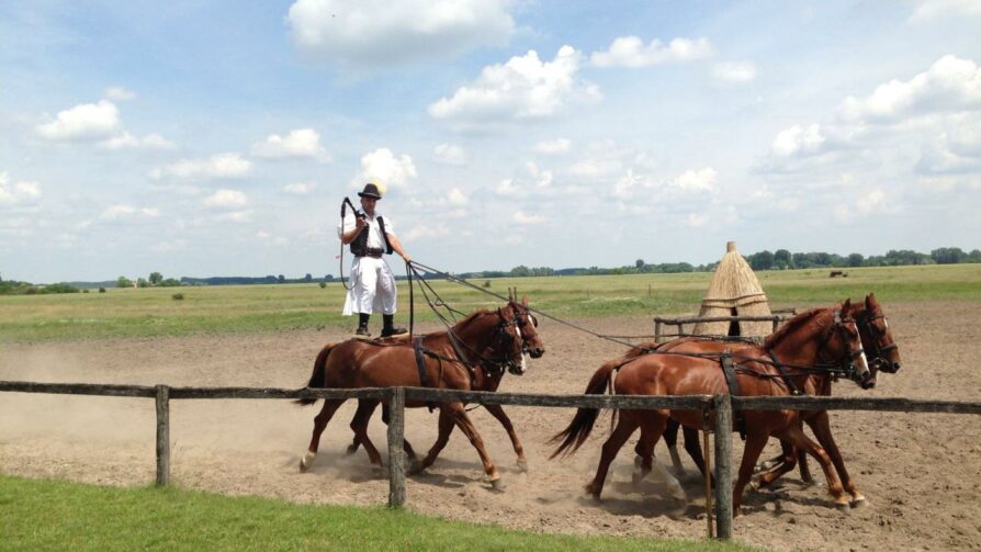 Puszta, Kecskemet, Ungarn Puszta, Kecskemet, Ungarn