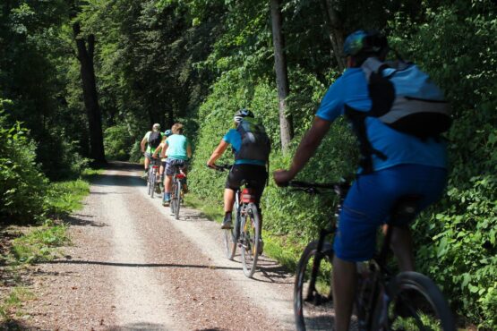 Radfahrer, Spreewald