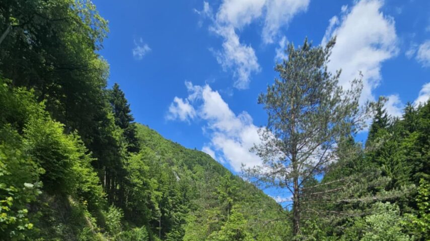 Radfahrer auf Straße, Dobrna