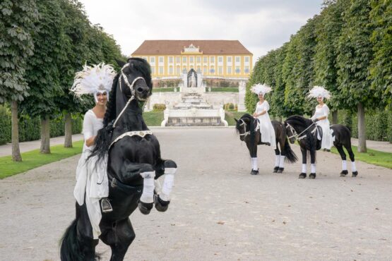 Das große Pferdefest auf Schloss Hof