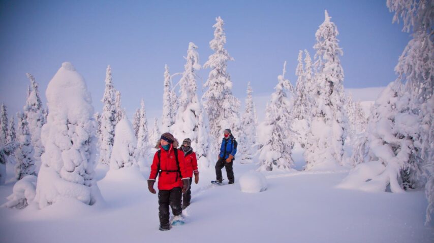 Schneeschuhwandern im hohen Norden