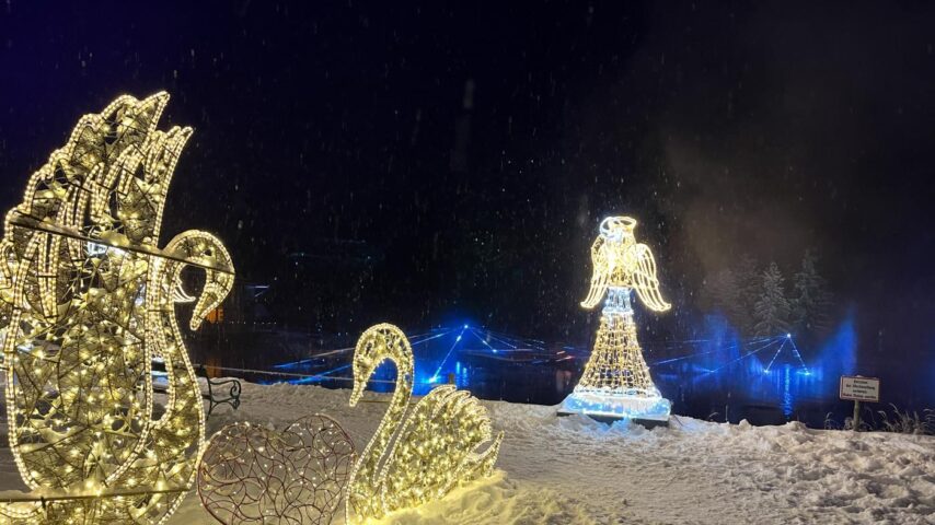 Schwan und Engel | Lichterzauber Bürgeralpe