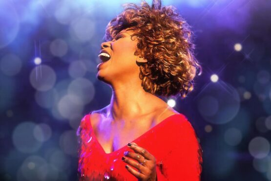 Simply The Best - Die Tina Turner Story Simply The Best - Die Tina Turner Story