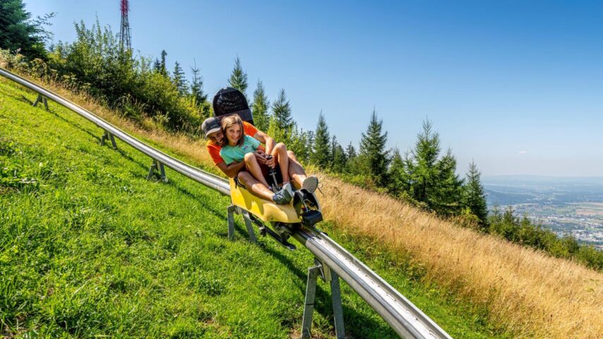 Baumwipfelpfad Grünberg | Sommerrodelbahn