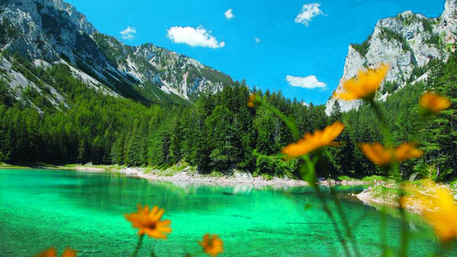 Grüner See Grüner See