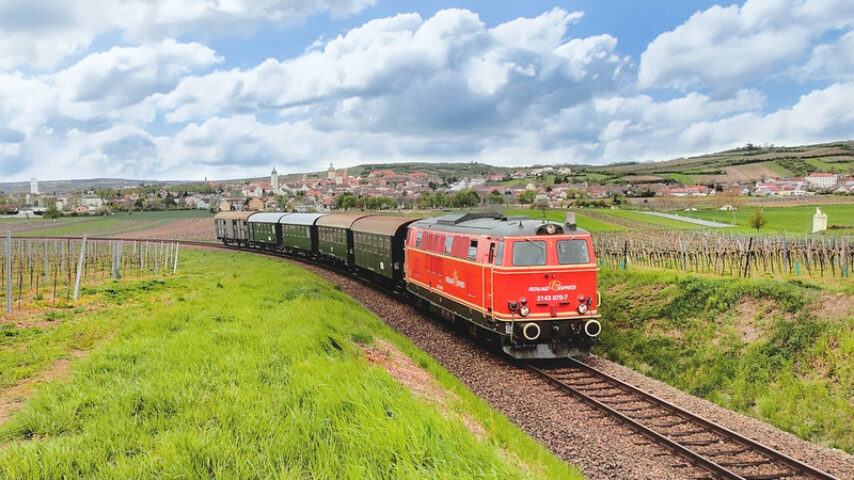 Reblaus Express fährt vorbei an Weinreben Reblaus Express fährt vorbei an Weinreben