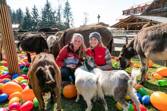 Ostermarkt Gut Aiderbichl | Hase
