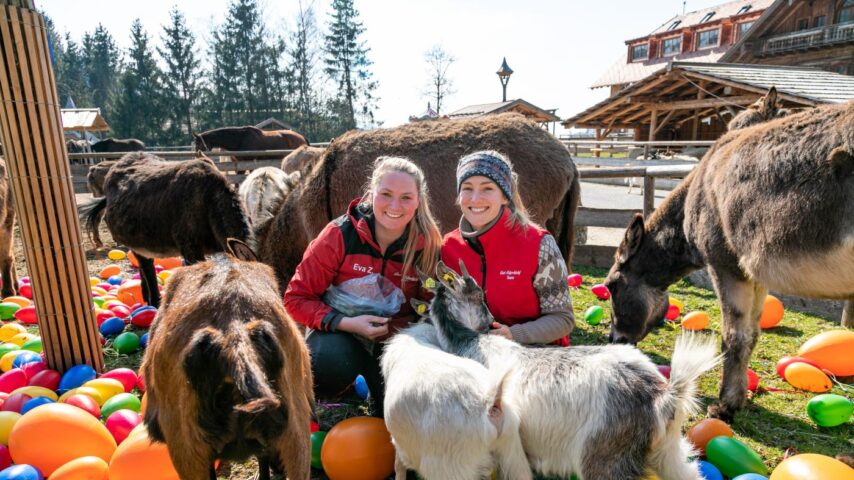 Ostermarkt Gut Aiderbichl | Hase Ostermarkt Gut Aiderbichl | Hase