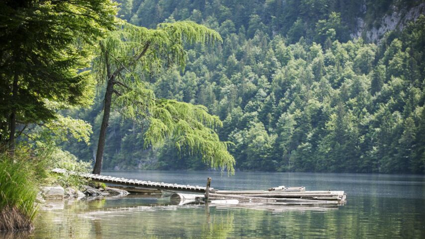 Toplitzsee Toplitzsee