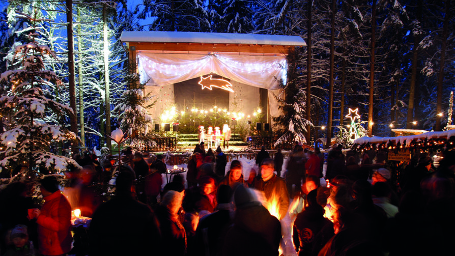 Waldweihnacht Baumkronenweg Waldweihnacht Baumkronenweg