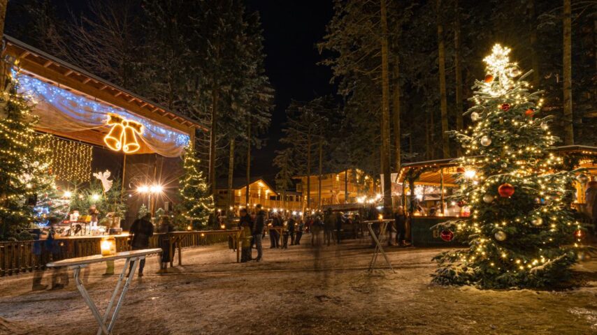 Waldweihnacht Baumkronenweg Kopfing
