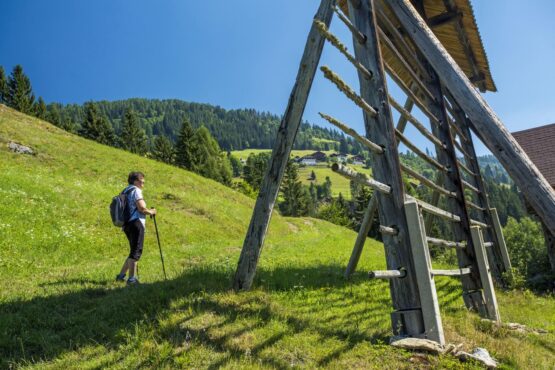 Wanderin am Höfe Trail Wanderin am Höfe Trail