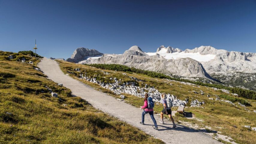 Dachstein / Krippenstein | Wandern