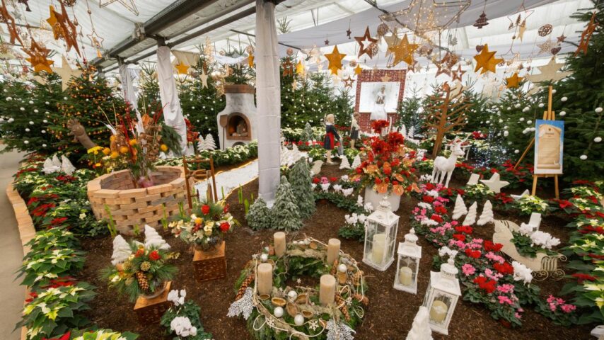 Weihnachtsausstellung Blumengärten Hirschstetten