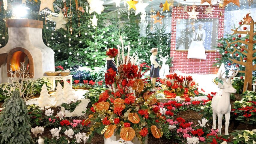 Weihnachtsausstellung Blumengärten Hirschstetten