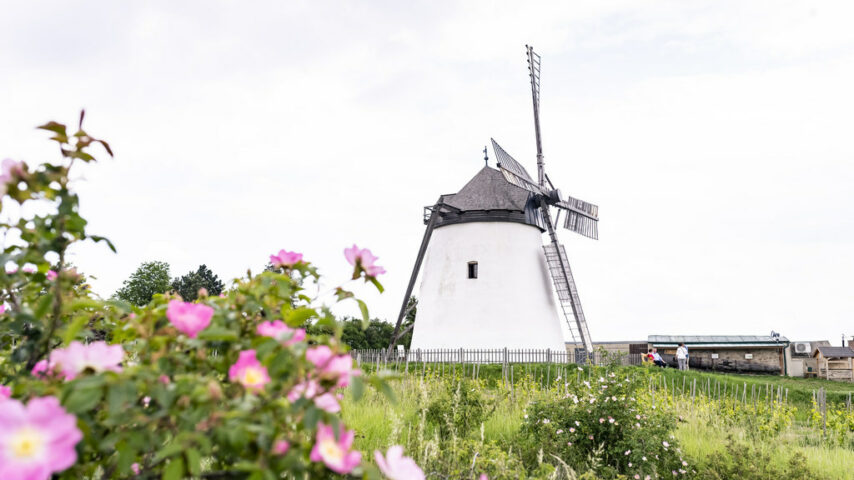 Windmühle Retz Windmühle Retz