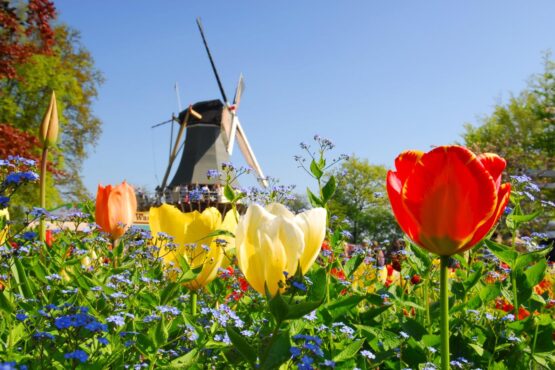 Amsterdam, Keukenhof Amsterdam, Keukenhof